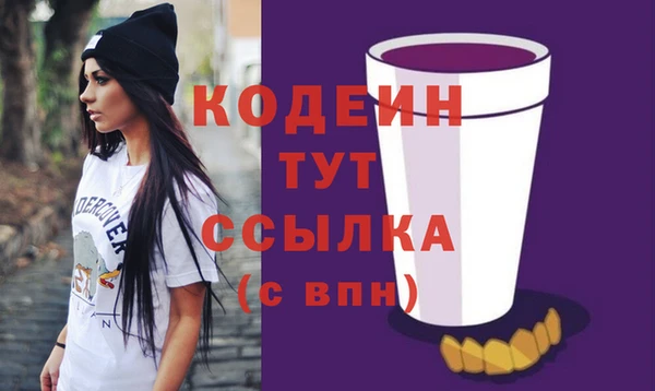 метадон Няндома