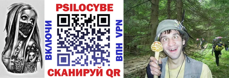 Галлюциногенные грибы Psilocybe  MEGA рабочий сайт  Няндома  как найти  